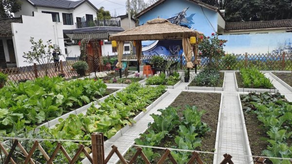 配资炒股官方网 共享菜园怎么盈利？做好了一亩地直接收益8万，附加收益上百万